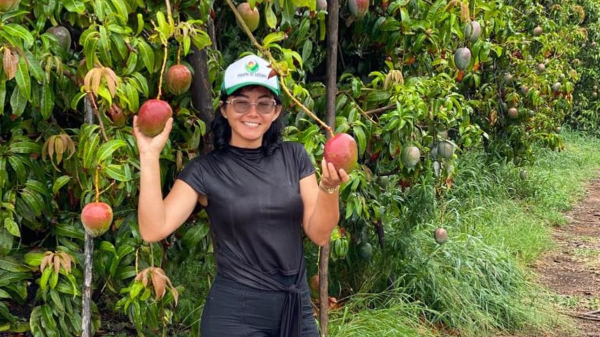 Mineia Otsuka, a Manga e a Inovação Tecnológica na Fruticultura: Nova Embaixadora da Tervox!