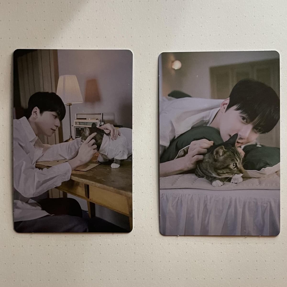 K‑pop recebe photocards artesanais de gatos; luh_collector_ lança coleção fan‑made