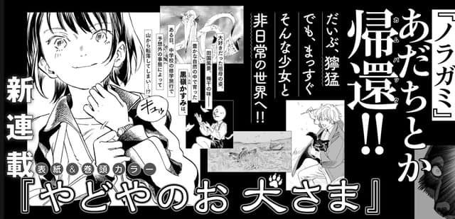 Noragami: criador Adachitoka anuncia nova série após 3 anos de hiato