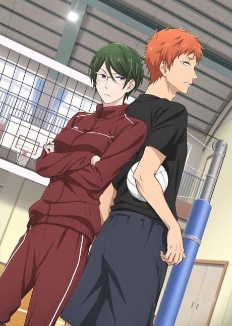 Capa de Wotaku ni Koi wa Muzukashii OVA