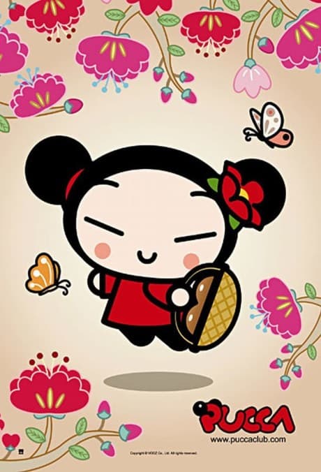 Capa de Pucca 2