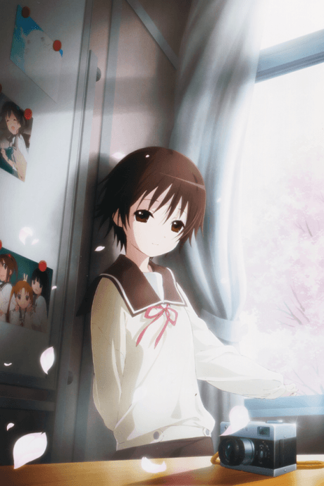 Capa de Tamayura: More Aggressive Picture Drama