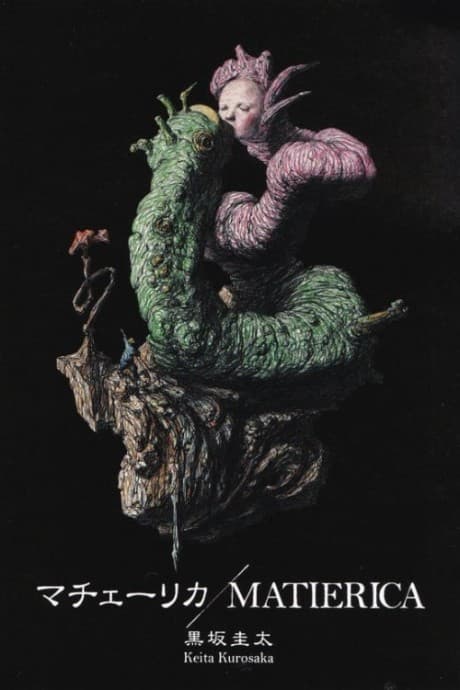 Capa de MATIERICA