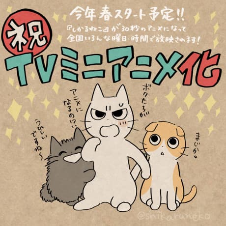 Capa de Shikaruneko