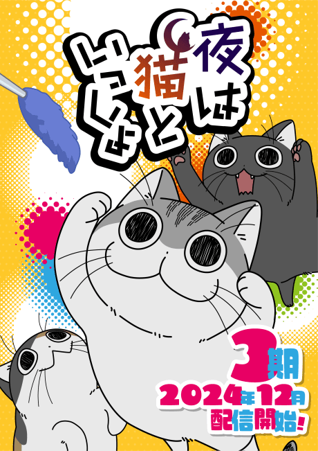 Capa de Nights with a Cat Season 3