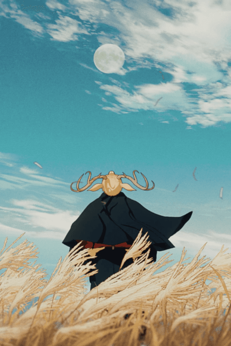 Capa de Plover