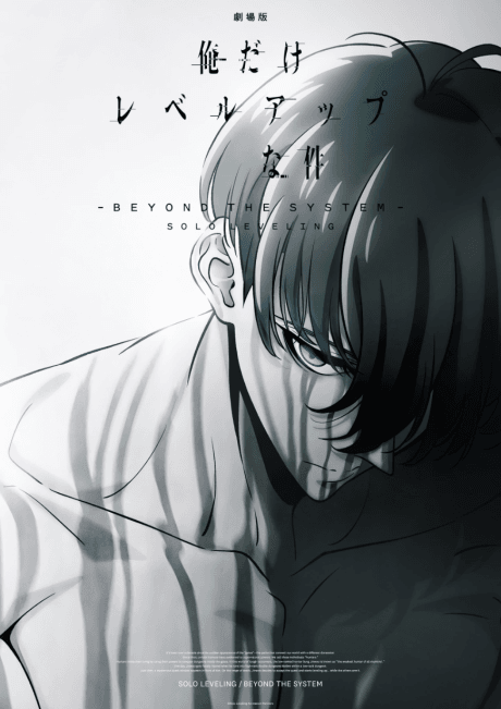 Capa de Solo Leveling: Beyond the System