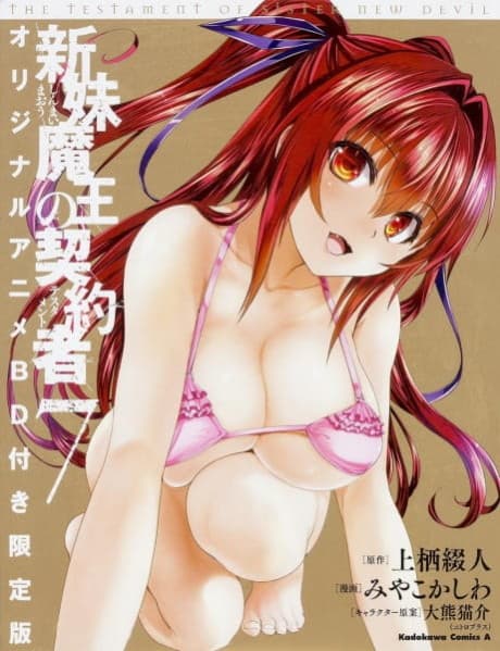 Capa de The Testament of Sister New Devil BURST: Tojo Basara’s Perfectly Peaceful Daily Life