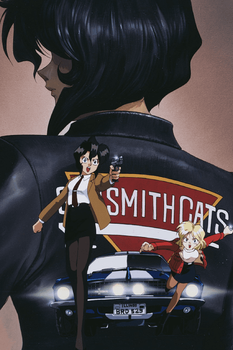 Capa de Gunsmith Cats