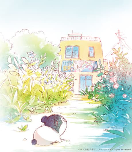 Capa de Baja's Studio