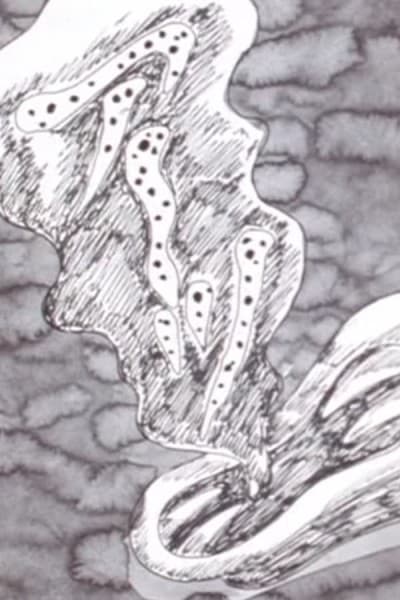 Capa de Ten Nights' Dreams
