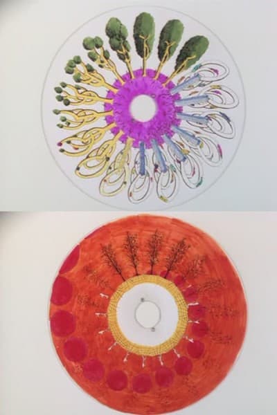 Capa de Phenakistoscope