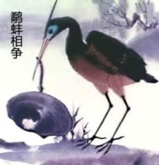 Capa de The Fight Between the Snipe and the Clam
