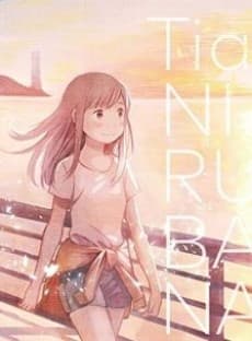 Capa de Nirvana