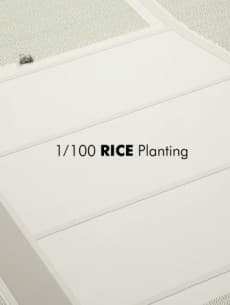 Capa de 1/100 Rice Planting