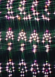Capa de Motion Lumine