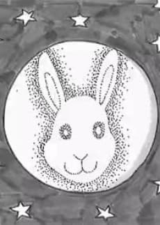 Capa de First Rabbit