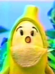 Capa de Ganso Banana no Tamashii