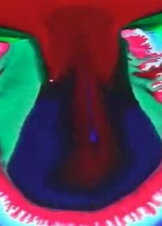 Capa de minamo