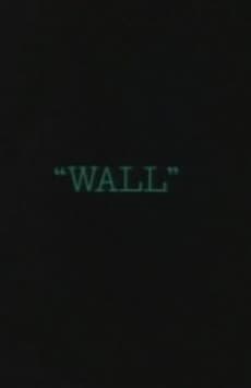 Capa de WALL