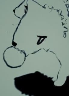 Capa de Cerberus