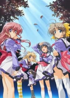 Capa de Mizuiro (2003)