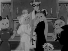 Capa de Little Tiger and Bride