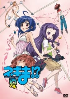 Capa de Negima!? Magister Negi Magi: Summer