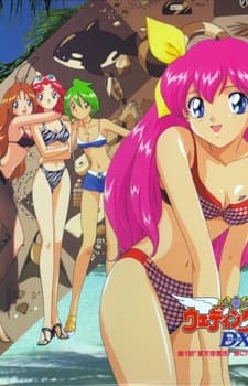 Capa de Wedding Peach DX