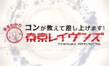 Capa de Kon ga Oshiete Moshi Agemasu! Maru Wakari TOKYO RAVENS