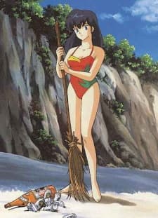 Capa de Maison Ikkoku: Deserted Island