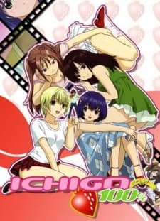 Capa de Strawberry 100%