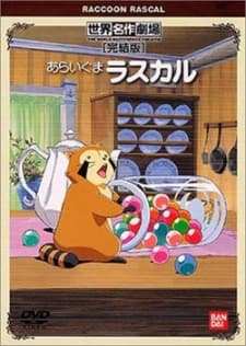 Capa de Raccoon Rascal