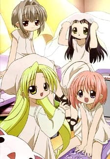 Capa de Bottle Fairy