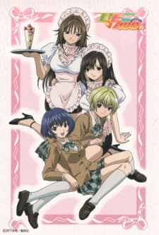 Capa de Strawberry 100%