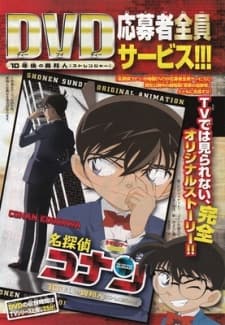 Capa de Case Closed: The Stranger in 10 Years...