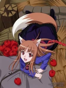 Capa de Spice and Wolf II Specials