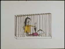 Capa de Human Zoo