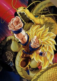 Capa de Dragon Ball Z: Wrath of the Dragon