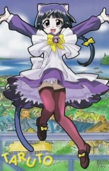 Capa de Magical Meow Meow Taruto