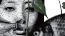 Capa de Nisou no Kuzu