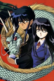 Capa de Dragon Fist