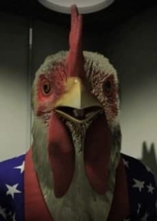Capa de Chicken Papa