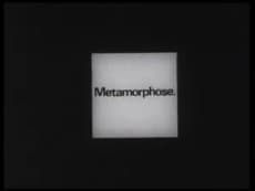 Capa de Metamorphose.