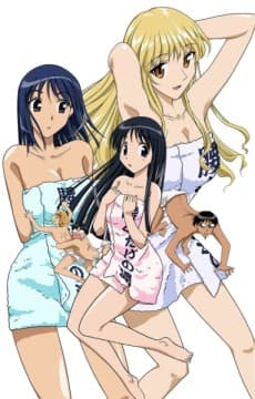 Capa de School Rumble OVA