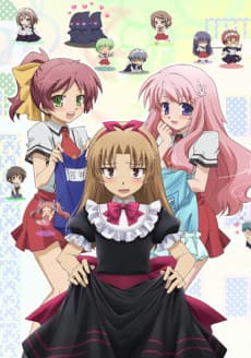 Capa de Baka and Test - Summon the Beasts: Matsuri
