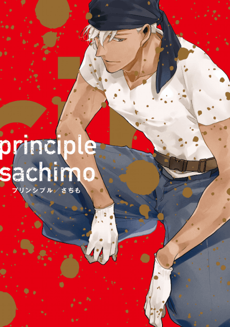 Capa de Principles