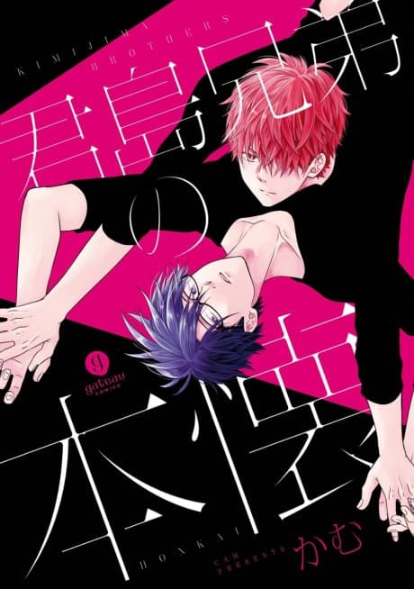 Capa de Kimijima Kyoudai no Honkai