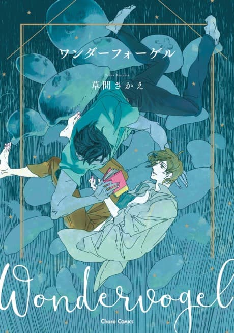 Capa de Wandervogel