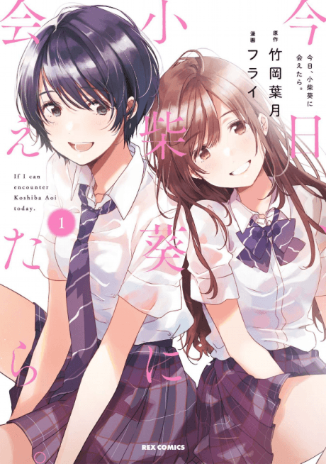 Capa de Chasing After Aoi Koshiba